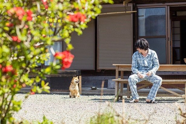 ワンちゃんの名演も見どころ！