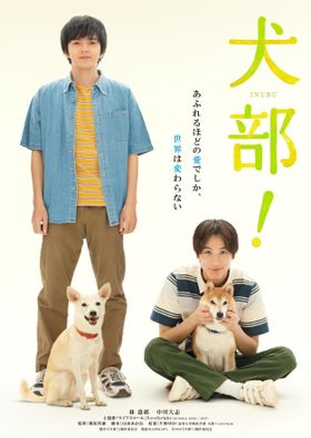 『犬部！』ティザービジュアルが解禁！