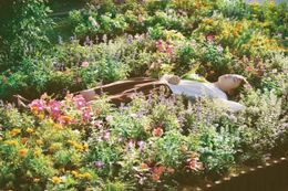 「暗黒女子」で飯豊まりえが演じた衝撃シーンのメーキングが公開された