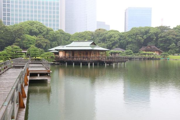 取材場所は浜離宮恩賜庭園