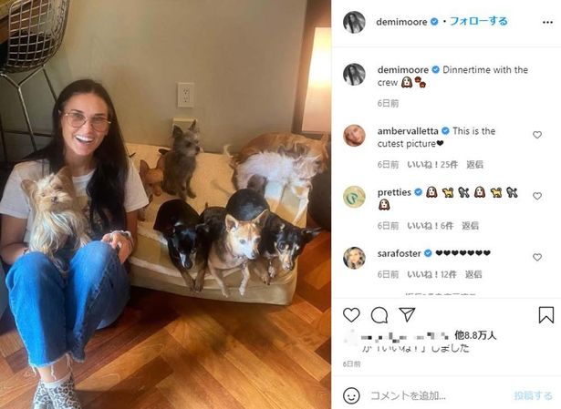 【写真を見る】9匹の愛犬とデミの心温まる写真。そのほかInstagramに投稿されたワンコショットも紹介！