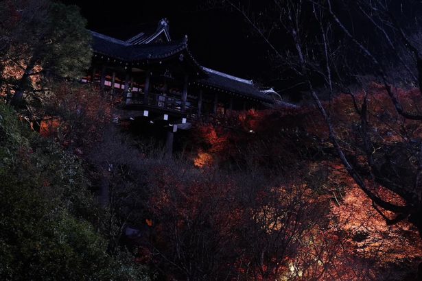 クライマックスシーンは紅葉の名所として知られる東福寺！