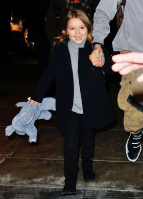 自転車に乗れるようになったハーパー