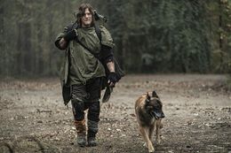 「ウォーキング・デッド」とスピンオフ「フィアー・ザ・ウォーキング・デッド」の新シーズンのDVDレンタルがスタート！