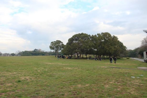 東京ロケーションボックスが撮影のサポートをした都立水元公園