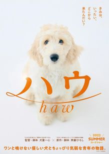 『ハウ』ティザービジュアルが解禁！