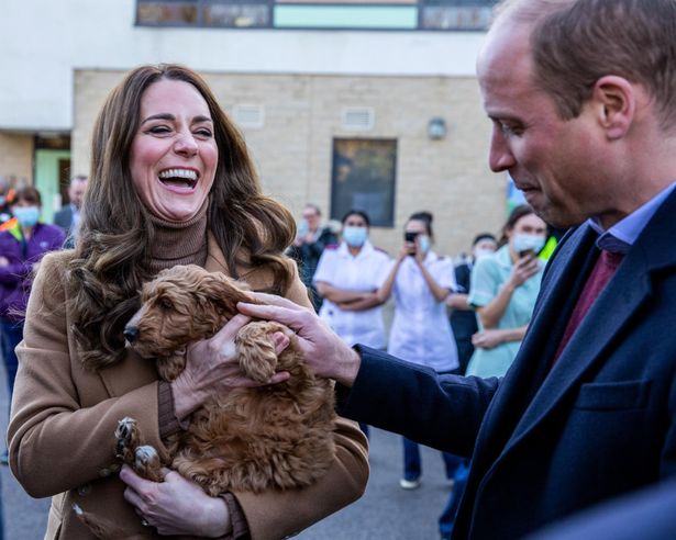 【写真を見る】茶系のファッションで登場したキャサリン妃、抱っこしたセラピー犬と「同化」!? まさかのカラーコーデが話題に