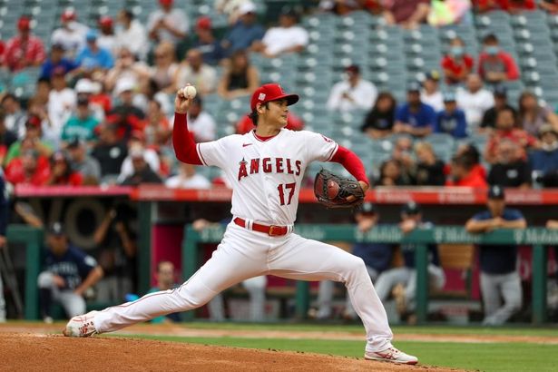 ロサンゼルス・エンゼルス所属のプロ野球選手、大谷翔平。アメリカン・リーグ最優秀選手(MVP)も獲得