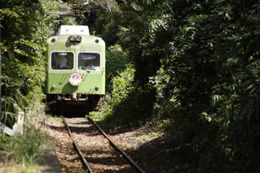 緑豊かな銚子の町中を走る銚子電鉄の車両たち