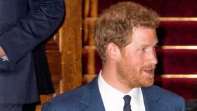 ヘンリー王子、英国警察による警護を求め英政府を相手取った訴訟がスタート