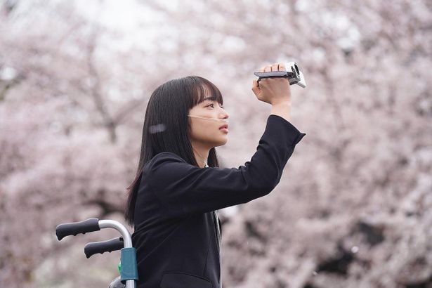 余命10年と宣告された高林茉莉(小松菜奈)