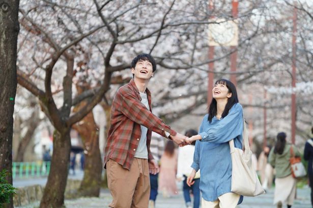 桜並木を2人で歩くシーンがとても印象的