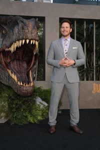 ジュラシック・ワールド 新たなる支配者 プレスシート☆クリス・プラット 楽天ブックス: ジュラシック・ワールド/新たなる支配者 - クリス