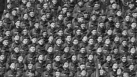 「SKIPシティ国際Dシネマ映画祭」にチャリティ上映を開催！元TIFFディレクターが見どころを解説