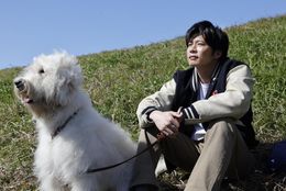 心優しい青年と白くてフワフワな大型犬との絆を描いた『ハウ』に通じる、海外スターと愛犬とのエピソードを紹介！
