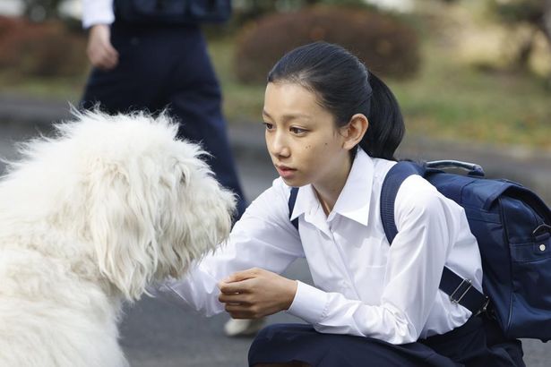 旅の道中でハウは、様々な悲しみや苦しみを抱えた人々に出会い癒していく