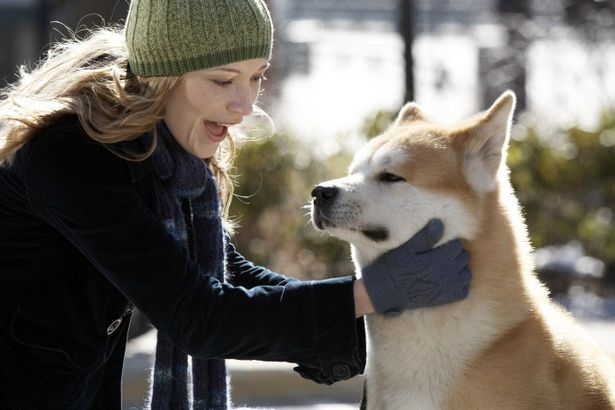 亡くなった飼い主を待ち続ける秋田犬ハチの健気な姿が胸に迫る『HACHI 約束の犬』