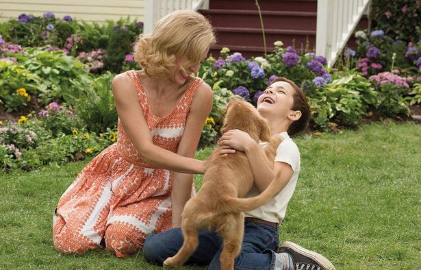 最愛の飼い主にもう一度会うため、生まれ変わって飼い主を探す犬の奮闘に泣ける！(『僕のワンダフル・ライフ』)