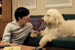 コメディからシリアスまで硬軟自在に演じ分け、唯一無二の“癒し力”を持つ田中圭幸せな日々のなかで絆を築いてくハウと民夫