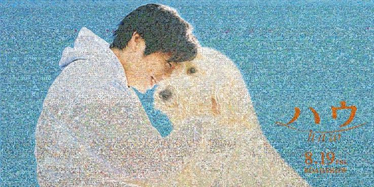 約1万8千枚の愛犬写真で『ハウ』のポスタービジュアルを再現！