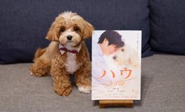 SNSで人気のマルプーちゃちゃまる！飼い主と編集部員が、犬映画『ハウ』について語った