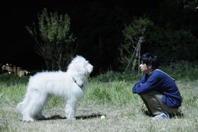 保護犬のハウと人々の温かな絆を紡いだ、俳優犬の奮闘に注目！