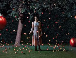 MEN-同じ顔の男たち_仮メイン