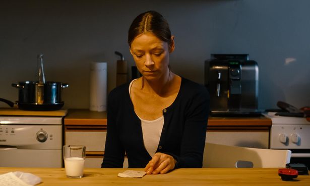 普通の家族の日常がゆがんで見える『ストレンジ・リトル・キャット』