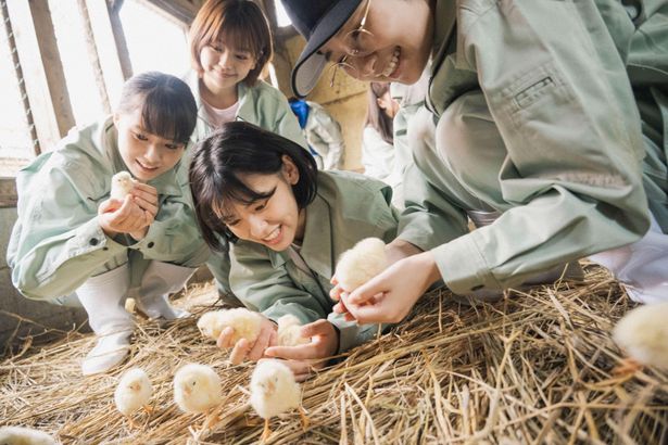 畜産を通じて動物の生死を見つめる視点に着目した(『17歳は止まらない』)