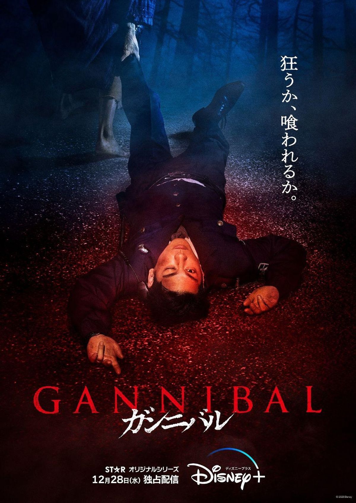 GANNIBAL 全巻セット　ガンニバル　柳楽優弥　Netflix 衝撃の新映像が全世界同時解禁！柳楽優弥主演「ガンニバル」高杉