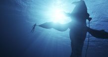 森を追われたジェイク一家は、”海の部族”のもとへ身を寄せる(『アバター：ウェイ・オブ・ウォーター』)
