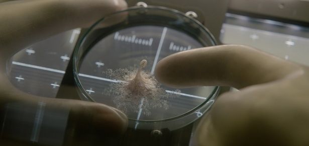 【写真を見る】一見、神秘的でかわいらしい地球外生命体だが…