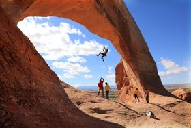 IMAXのポテンシャルを最大級に味わう『イントゥ・ザ・ネイチャー 自然が教えてくれること』の見どころを紹介！