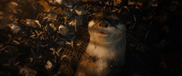 【写真を見る】 ロケットの“知られざる過去”を知る物語のキーキャラクター、カワウソのライラの声を佐倉綾音が演じる
