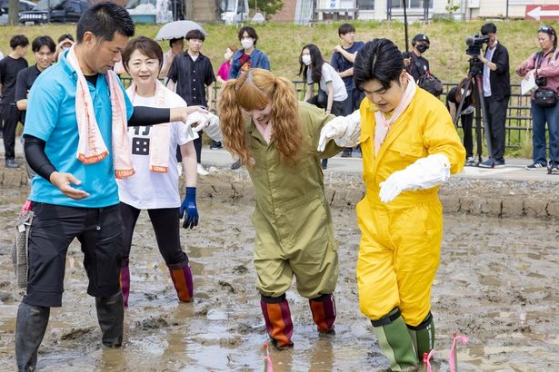 面積2万7195平方メートルの巨大田んぼアートはギネス世界記録にも認定されている