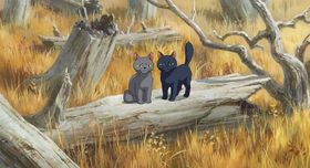 メアリが赤い館村で出会った猫コンビ、ティブ(黒)＆ギブ(グレー)