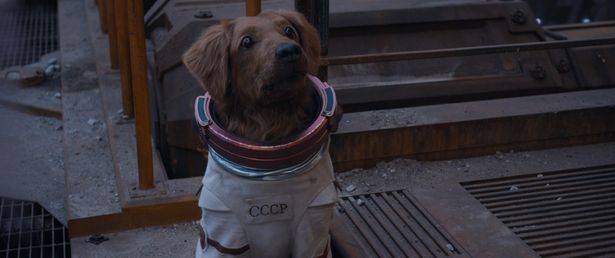 サイコキネシスの使い手でもある宇宙犬コスモ