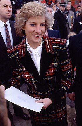 ダイアナ妃、未公開ビデオの放映に実弟は反対