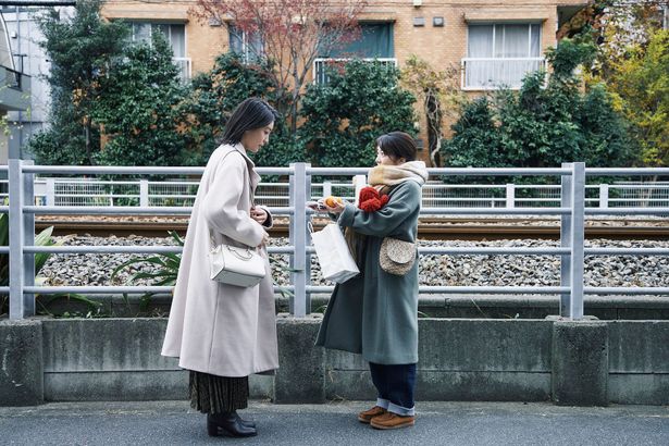 山添くんの恋人と藤沢さん