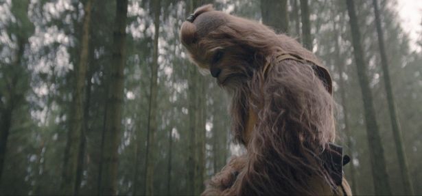 【写真を見る】「スター・ウォーズ」シリーズ初登場！ウーキー族のジェダイ・マスター、ケルナッカ