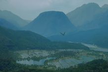 能力者の生まれる里に、現実と虚構が入り混じる町まで。ディズニープラスで観られる、変わった村や街の作品を紹介！