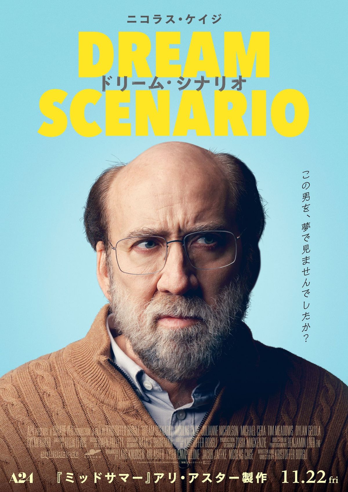 ニコラス•ケイジDVD29枚まとめ売り全てセル版
