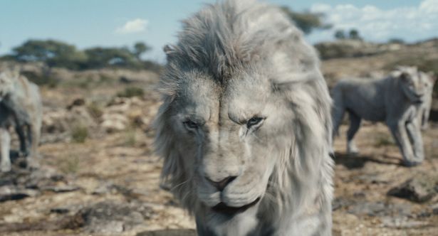 動物たちのモフモフの毛並みをリアルに再現した超実写版『ライオン・キング：ムファサ』