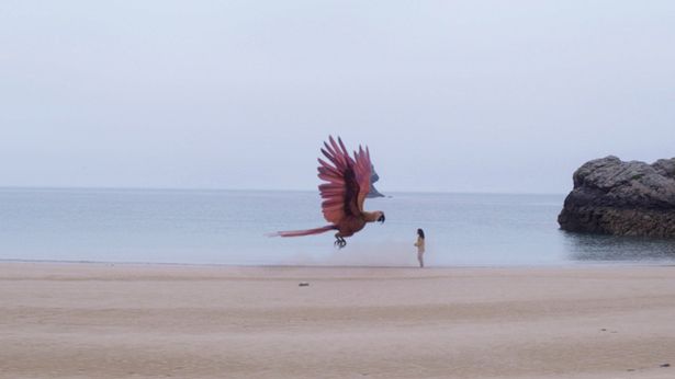 『終わりの鳥』は4月4日(金)より公開