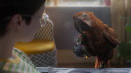 貫禄たっぷり！電子タバコをくゆらせる＜デス＞