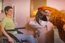 生きものの“終わり”を告げる鳥“デス”が死を告げる瞬間を捉えた本編映像が到着