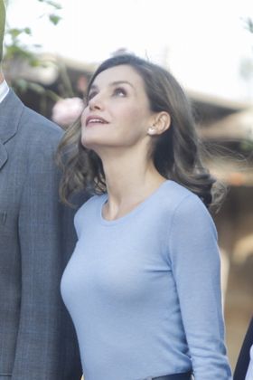 美貌が称賛を集めるレティシア王妃