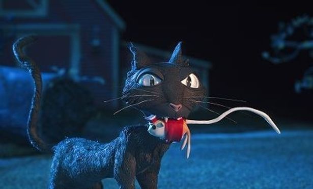 生意気な黒猫が後をつけてくる