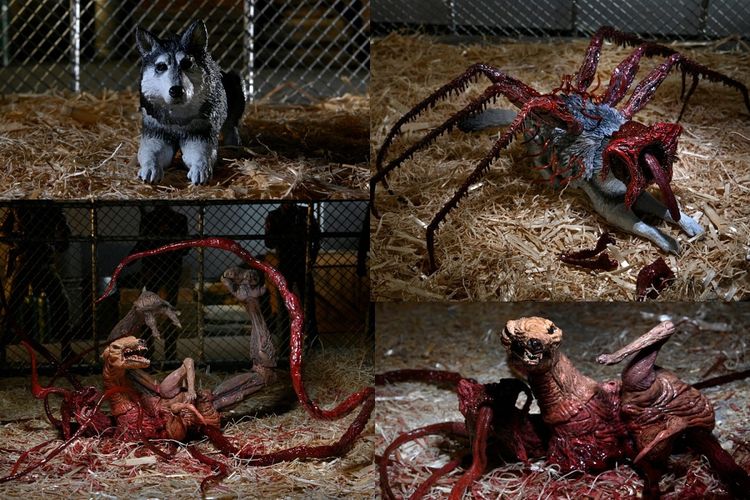 物体Xも毒々モンスターも待ってるよ！一度はおいでよ豆魚雷【豆魚雷の「遊星からの物欲X」】