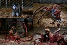 連載1年でようやく自己紹介！ここぞという時に奥手なタイプです。